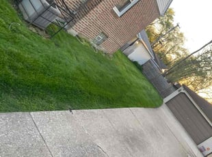 Troy F.'s Lawn Care service result