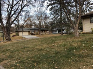 Leaf Removal by Shawn Spiess for Abbey S. in Minneapolis, MN