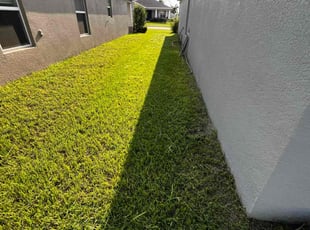John T.'s Lawn Mowing Service service result