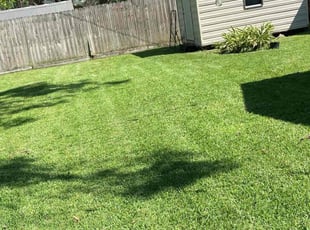 Ethan H.'s Yard Cutting service result