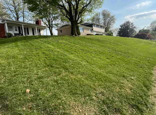 Joel S.'s Lawn Mowing Service service result