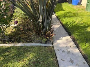 Bush Trimming by Fernando Gomez Rodriguez for Deanna A. in Los Angeles, CA
