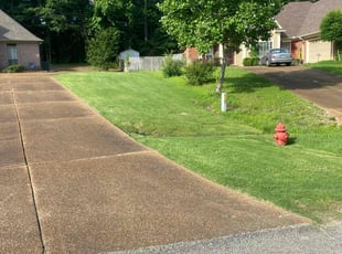 Bobby T.'s Lawn Mowing service result