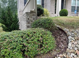 Bush Trimming by Chris Fleming for Cassandra B. in Atlanta, GA