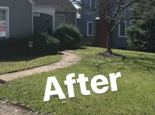 Leaf Removal by Lance Perkins for Judy M. in Columbus, OH