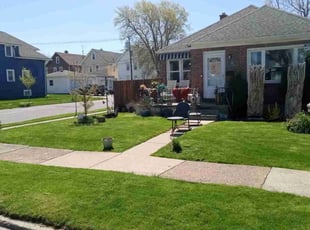 Adriane F.'s Lawn Mowing service result