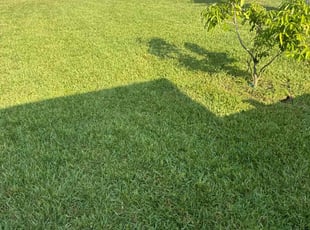 Zachary S.'s Lawn Service service result