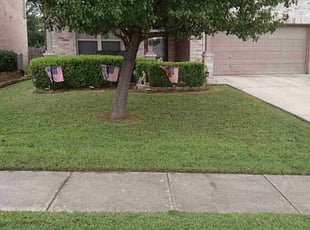 Janet T.'s Lawn Service service result