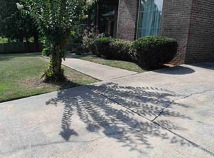 Cleanups by Troy Matthews for Alexis K. in Ridgeland, MS