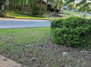 Bush Trimming by Tajai Gammage for Josh F. in Brandon, MS