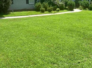 Eric M.'s Lawn Mowing service result