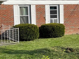 Bush Trimming by David Connors for Jillyn P. in Winchester, VA