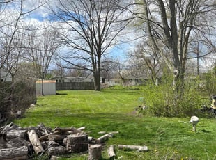 Lee B.'s Lawn Mowing service result