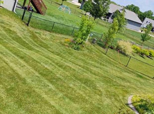 Steve D.'s Lawn Service service result