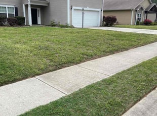Karen J.'s Lawn Care service result