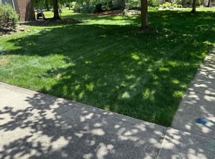Perriann R.'s Lawn Care service result