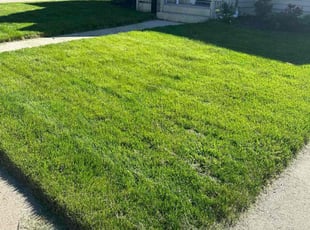 JOHN B.'s Lawn Service service result