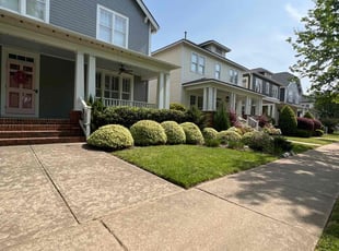 Lynn S.'s Lawn Mowing service result
