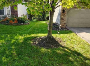 Perriann R.'s Lawn Maintenance service result