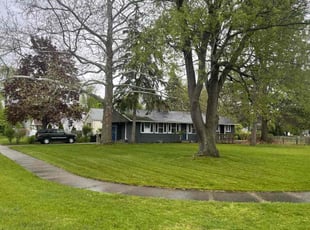 Diana B.'s Yard Cutting service result