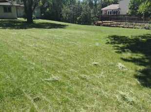 Michelle F.'s Lawn Maintenance service result