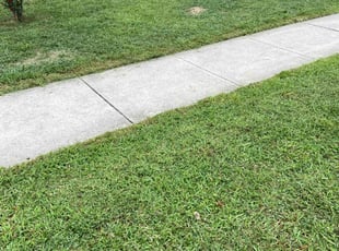 Bridgot e.'s Lawn Care service result