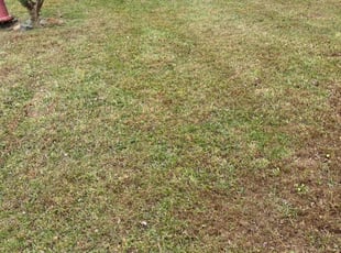 Leaf Removal by Doyle Napper for Kyle F. in Whitsett, NC