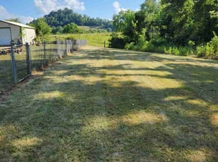 Jason H.'s Lawn Mowing service result