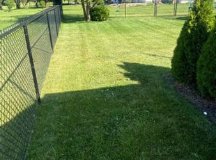 David T.'s Lawn Care service result