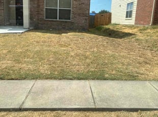 Venecia R.'s Flower Bed Weeding service result