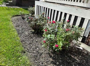 Weeding by Nicole James for Lorie H. in Columbus, OH