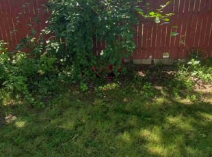 Landscaping by Matthew Spinelli for G B. in Stratford, CT