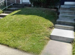 Bush Trimming by Derek Young for Cerrell W. in Nottingham, MD