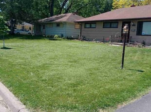 Wendy S.'s Lawn Mowing service result