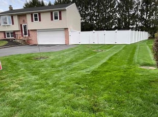 Todd V.'s Lawn Maintenance service result