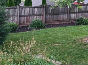 Toni C.'s Bush Trimming service result