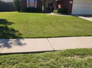 Melody H.'s Lawn Mowing Service service result