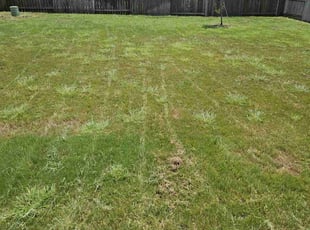 Landscaping by Kevin Tyler for Sharon M. in Rosharon, TX