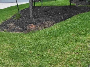 Bob A.'s Lawn Mowing service result