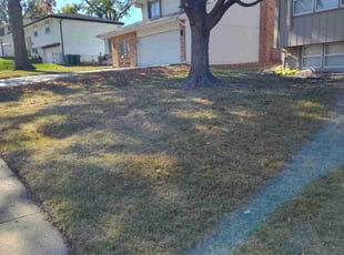 Leaf Removal by Tim Birch for Micah P. in Omaha, NE