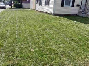 Zixu Z.'s Lawn Maintenance service result