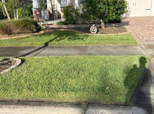 Amy B.'s Lawn Service service result