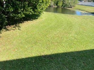 Sasha M.'s Lawn Maintenance service result