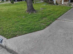 Blake H.'s Lawn Care service result