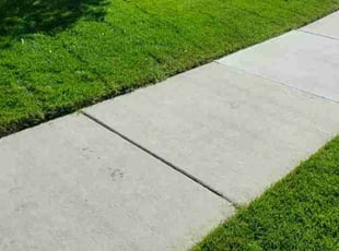 Lindsay S.'s Lawn Maintenance service result