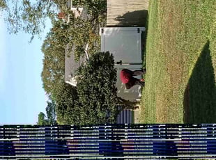 Bush Trimming by Debbie Carper for Alexander B. in Chesapeake, VA