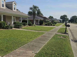 Jacobi M.'s Lawn Maintenance service result
