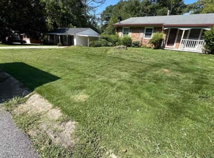 Kim B.'s Lawn Mowing Service service result
