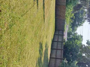 Corey A.'s Lawn Care service result
