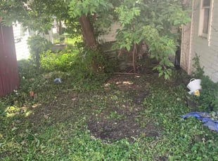 Leaf Removal by Evan Becker for Marianyeliz C. in Milwaukee, WI